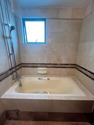 Gold Palm Mansion (D15), Apartment #567191721